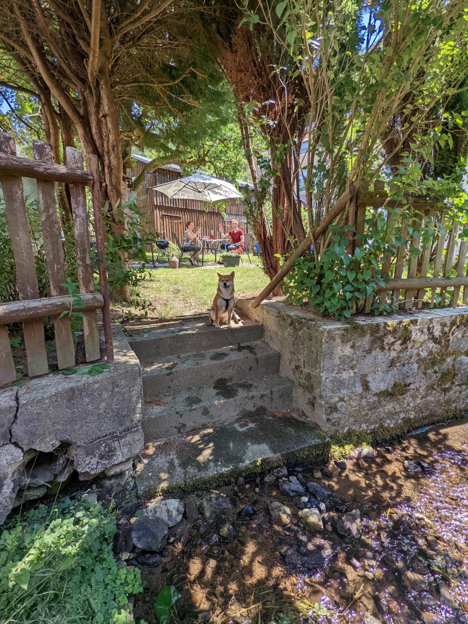 H2 - Urlaubsmagie - Garten, Pool, Terrasse, Grill Sebnitz Esterno foto