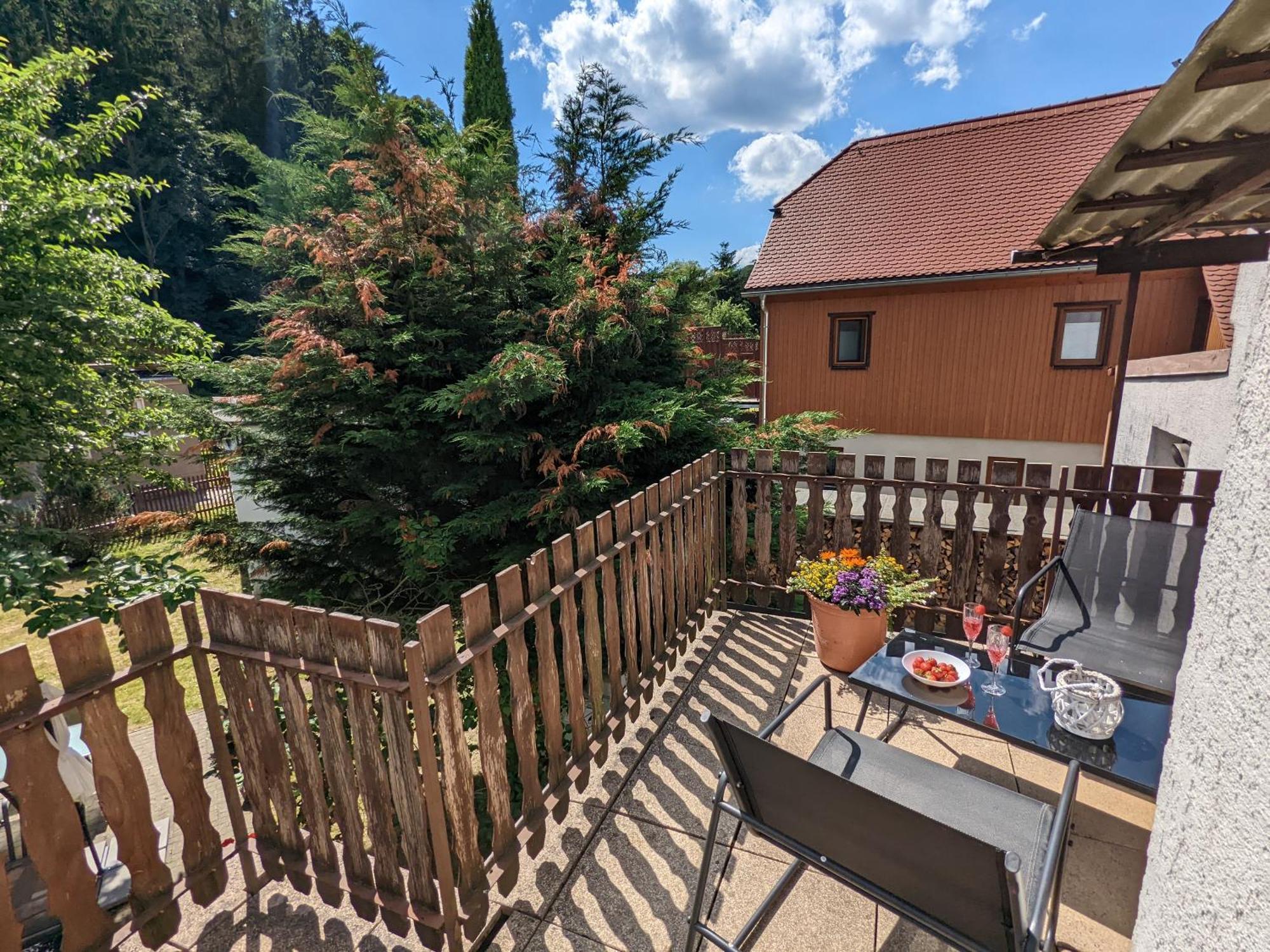 H2 - Urlaubsmagie - Garten, Pool, Terrasse, Grill Sebnitz Esterno foto
