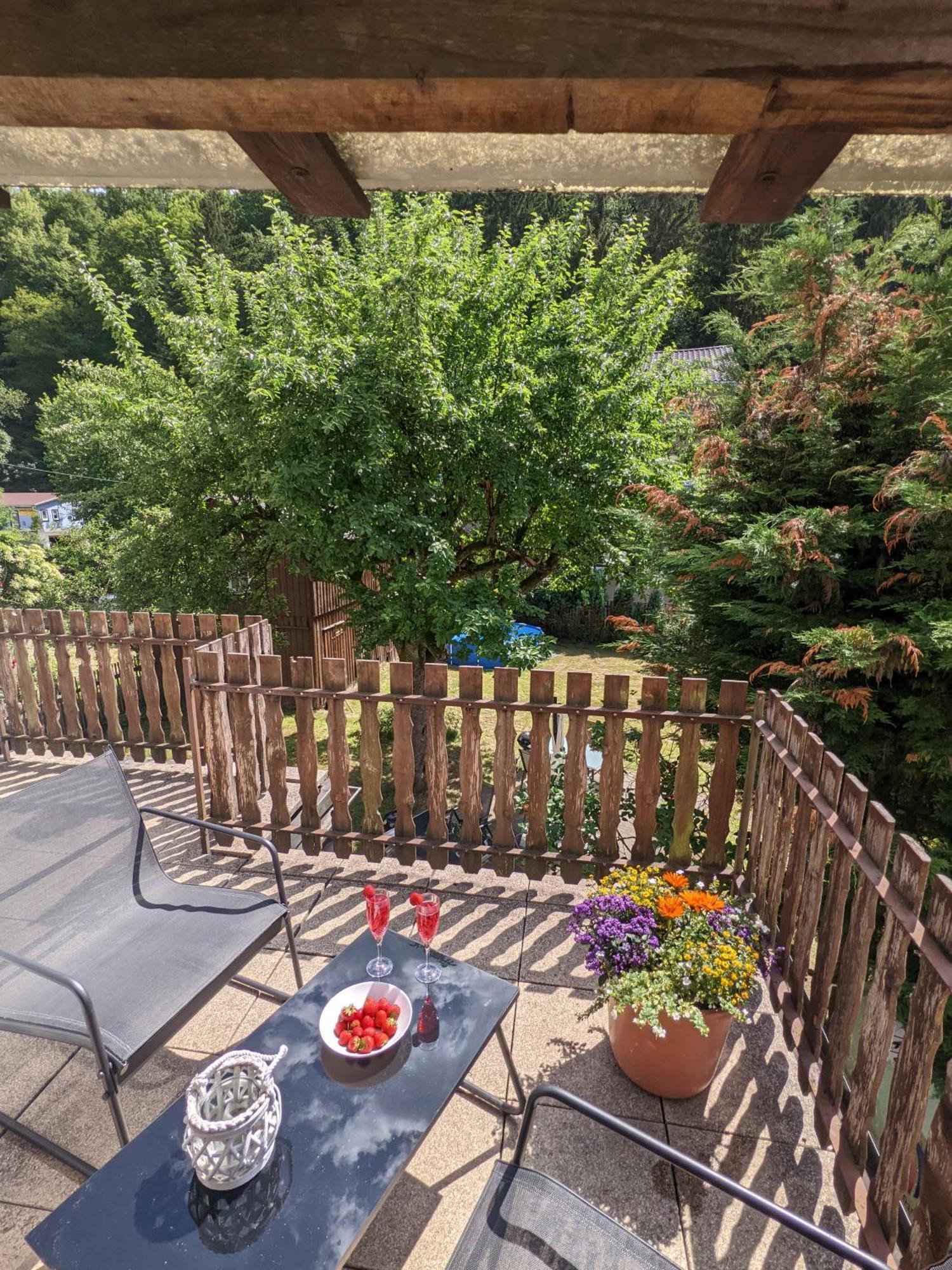 H2 - Urlaubsmagie - Garten, Pool, Terrasse, Grill Sebnitz Esterno foto