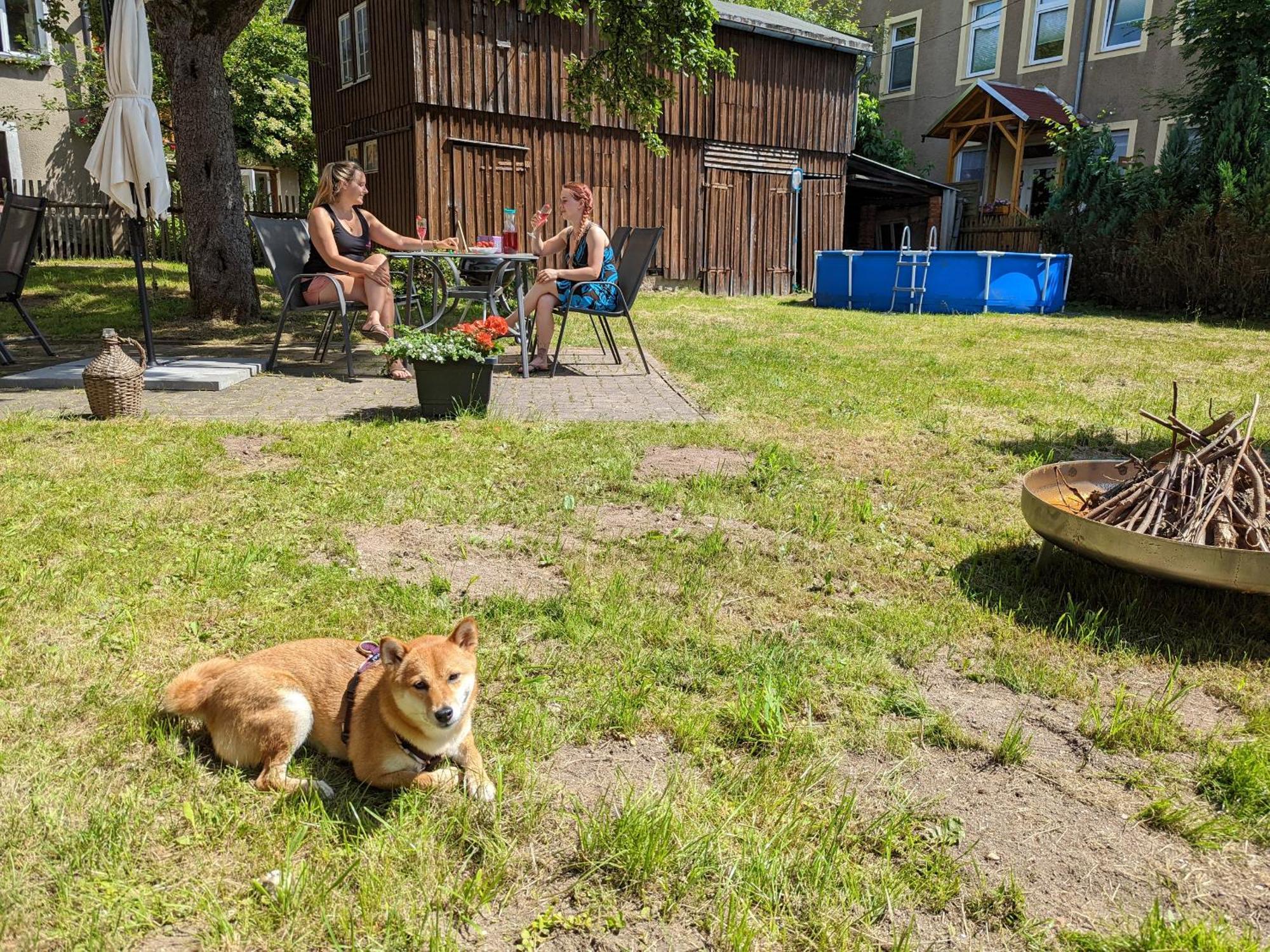H2 - Urlaubsmagie - Garten, Pool, Terrasse, Grill Sebnitz Esterno foto