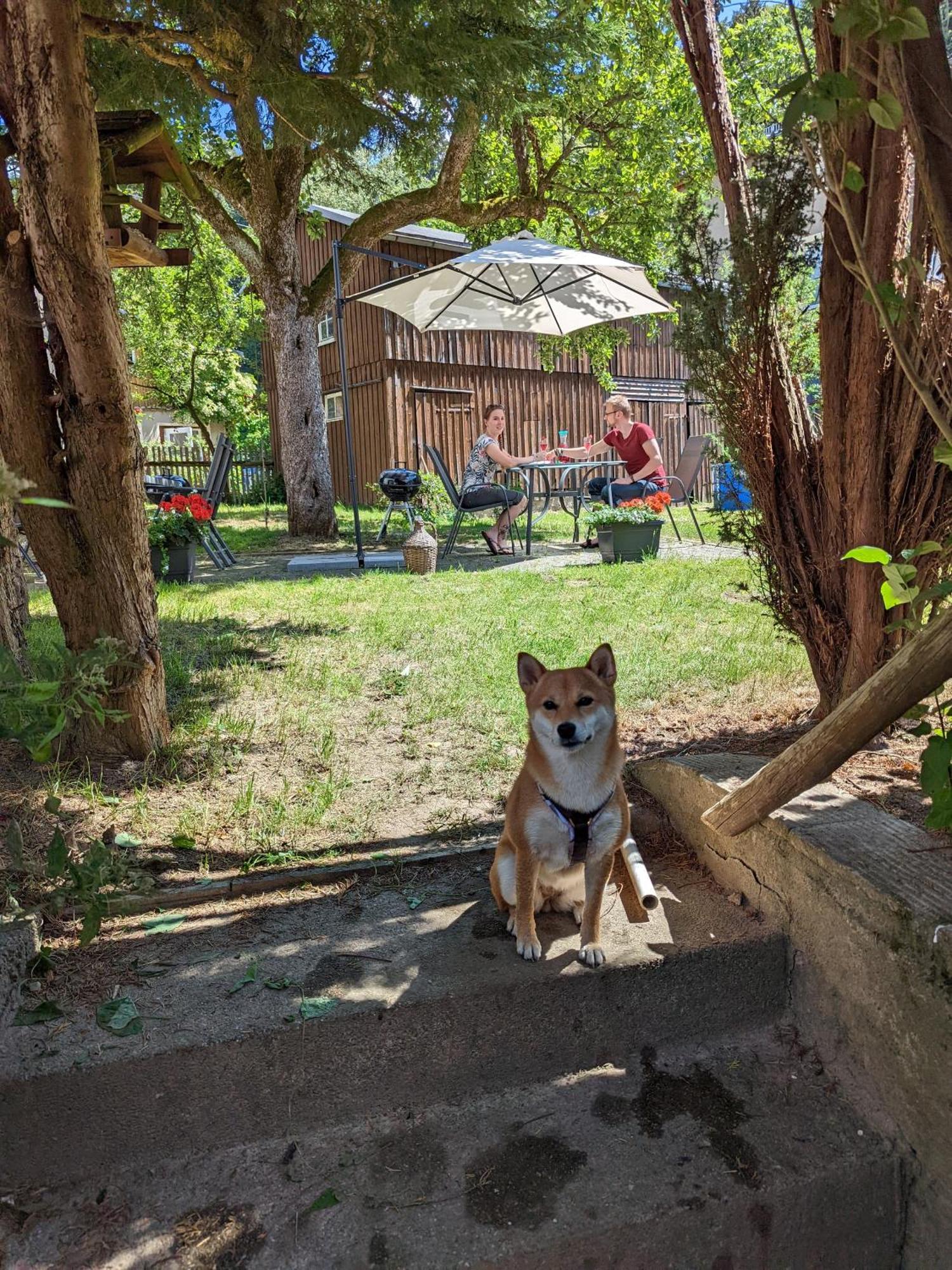 H2 - Urlaubsmagie - Garten, Pool, Terrasse, Grill Sebnitz Esterno foto