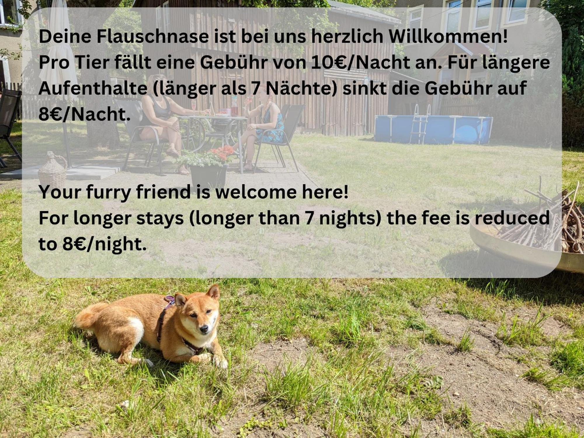 H2 - Urlaubsmagie - Garten, Pool, Terrasse, Grill Sebnitz Esterno foto